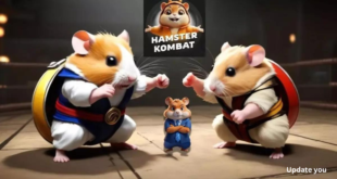 hamster kombat